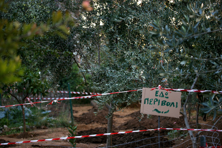 ΠΑΡΚΟ ΝΑΥΑΡΙΝΟΥ