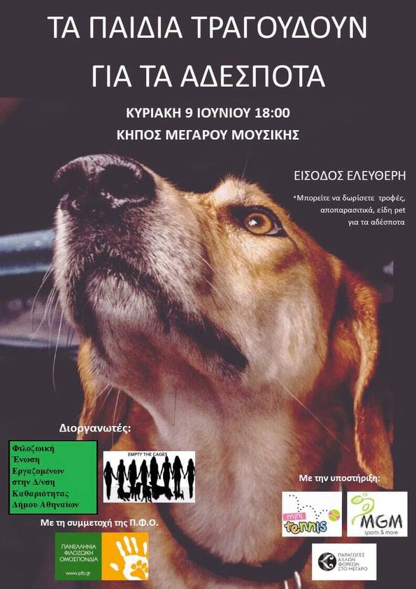 Τα Παιδιά Τραγουδούν Για Τα Αδέσποτα!