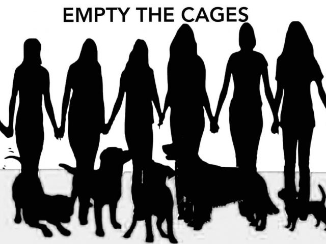 Ημέρα Υιοθεσίας – Happy Puppy Day από την ομάδα Empty The Cages