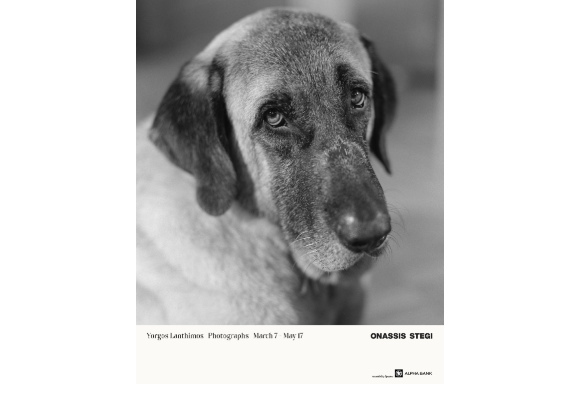 Γιώργος Λάνθιμος: Photographs – Προσβάσιμες περιηγήσεις για άτομα με αισθητηριακές αναπηρίες